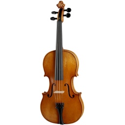 Hofner Violas